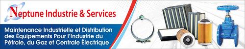 NEPTUNE INDUSTRIE & SERVICES