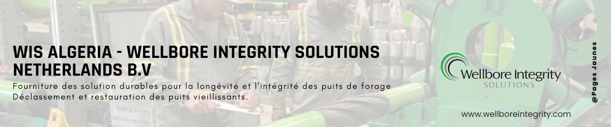 WELLBORE INTEGRITY SOLUTIONS NETHERLANDS B.V.